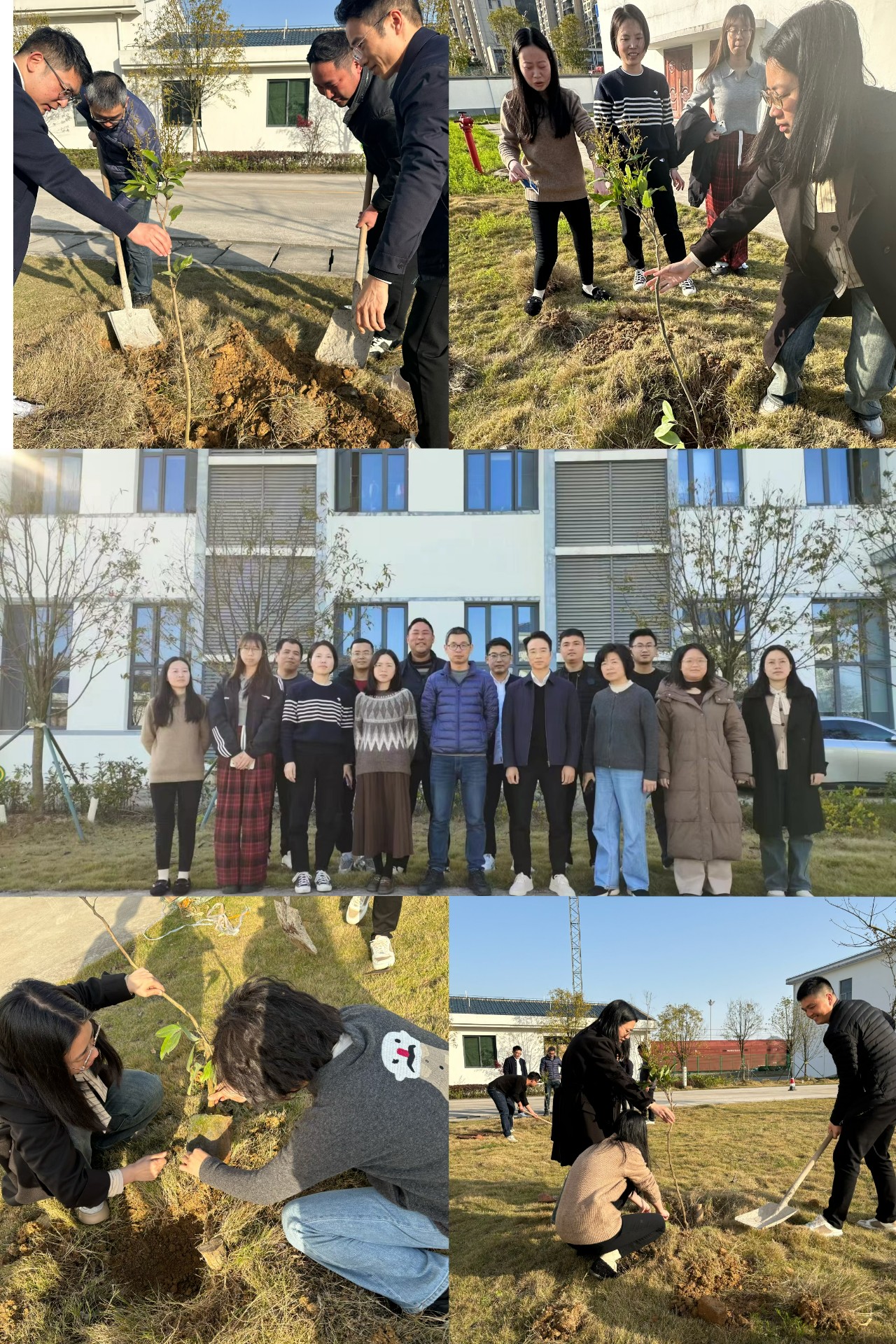 2024-3-12綠色陸港，美麗寧德，阮克妙拍攝.jpg